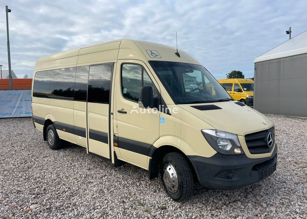 Mercedes-Benz Sprinter 516 passagier bestelwagen