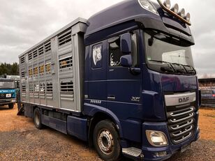 camion bétaillère DAF XF 105 Viehtransporter * FINKL * 2 Stock
