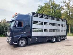 camion bétaillère Volvo FH 13.520 6x2/4 1/2/3 stock Livestock