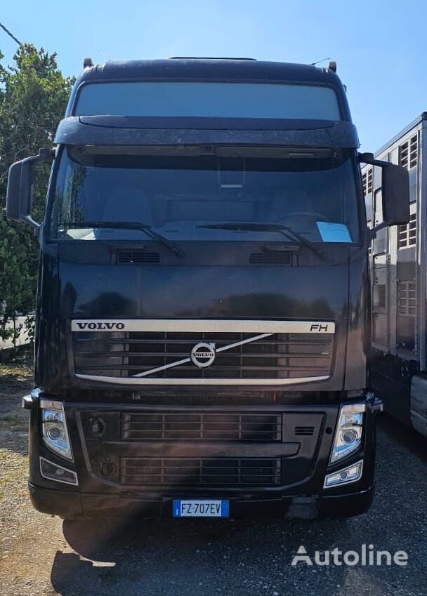 camion bétaillère Volvo FH 500