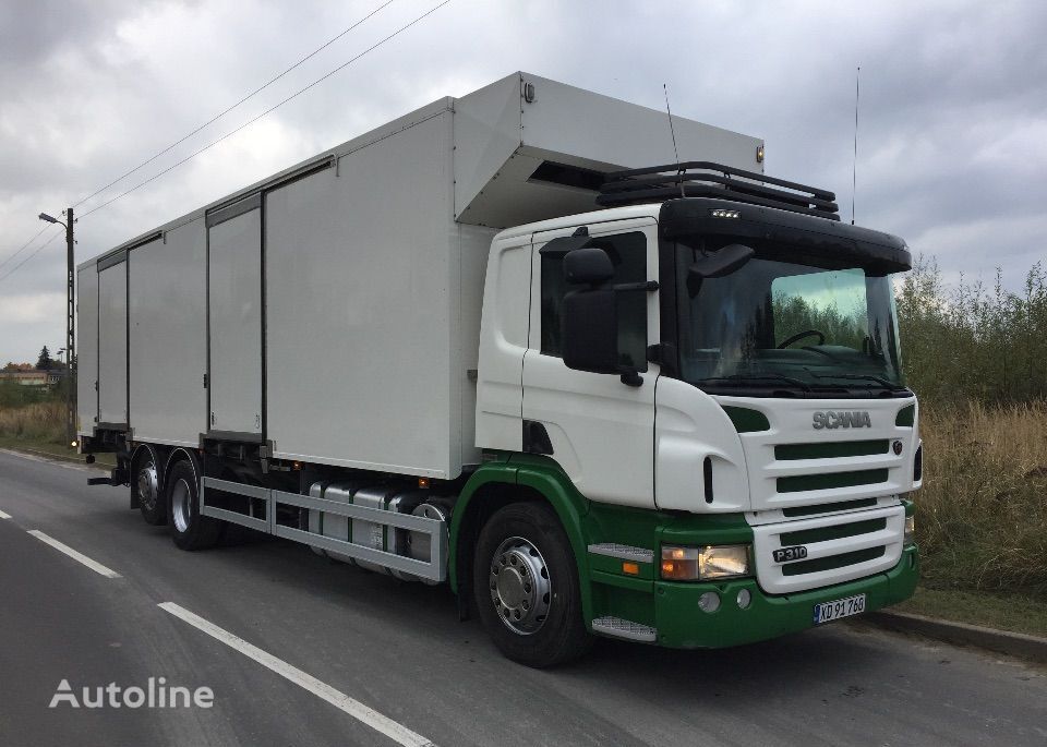 camion frigorifique Scania P 310 DO PRZEWOZU PISKLAT