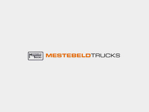 demi-essieu DAF STEEKAS MET SPER RECHTS 1363855 pour camion